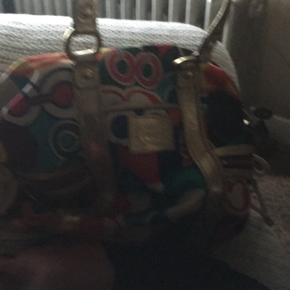 Fun coach bag